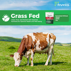 Fruvita Multi Collagen Protein Powder